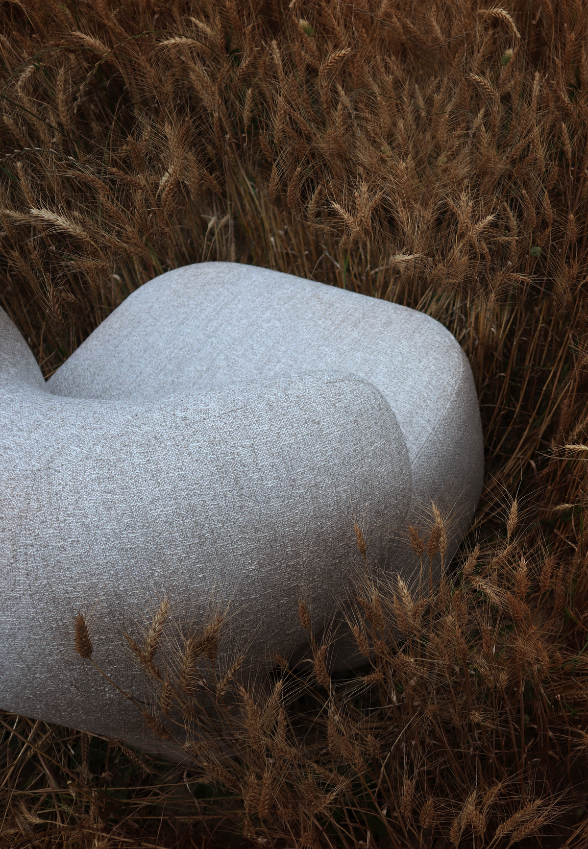 Asawa Lounge Chair close-up of the soft woven upholstery among dried wheat stalks