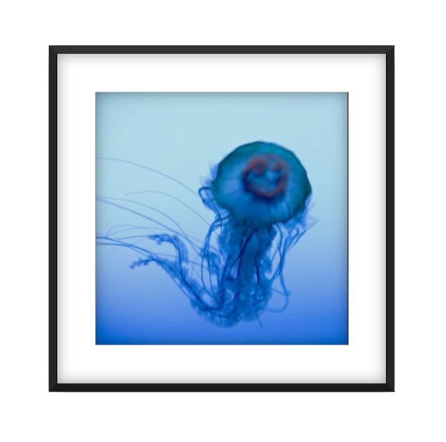 La Meduse 2 photographic print in Black frame