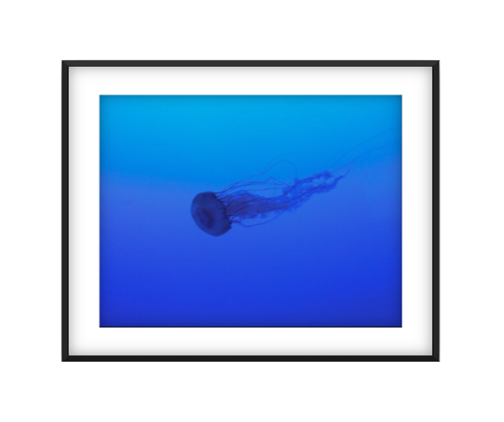 La Meduse photographic print in Black frame