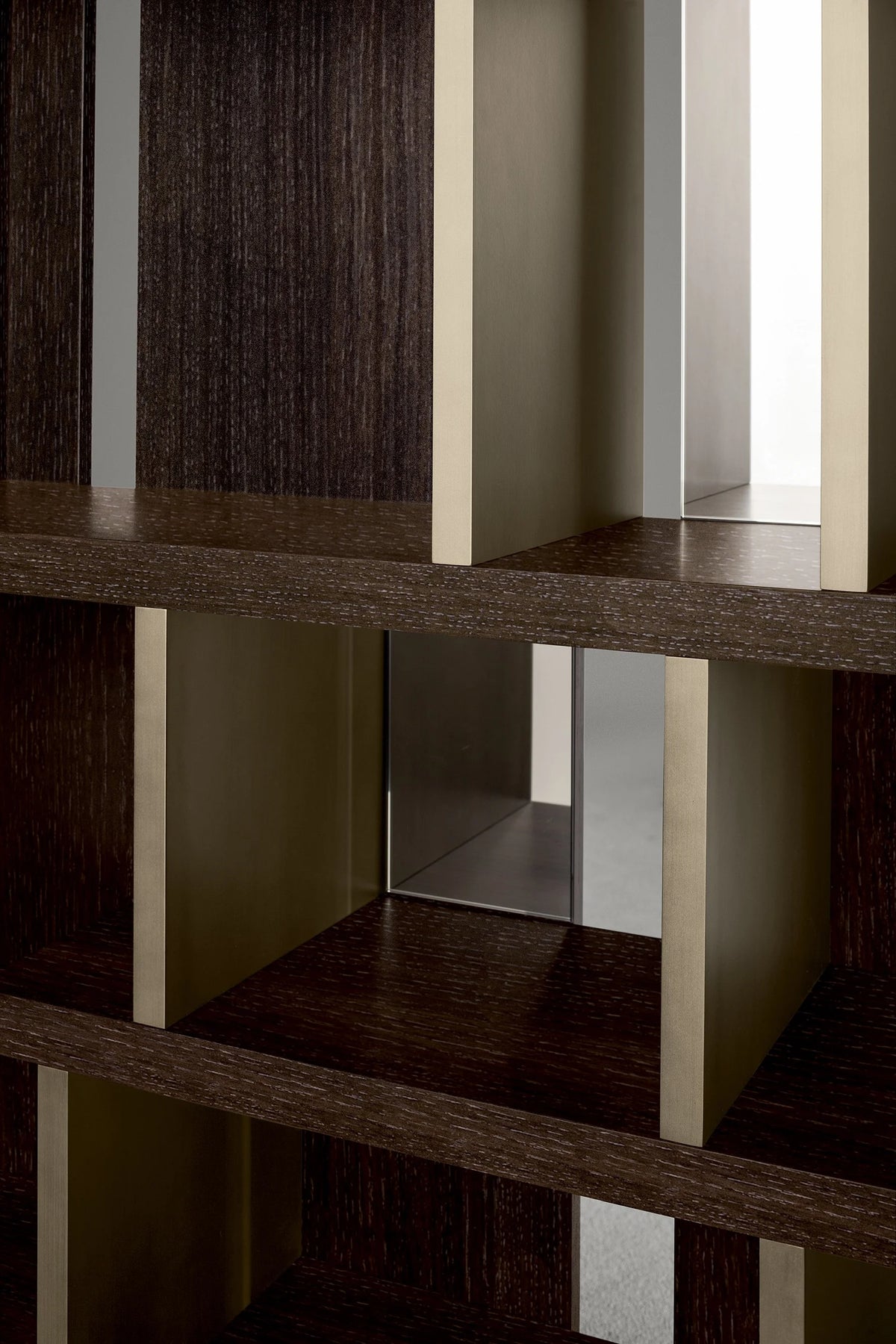 Magritte Bookcase, close-up of dark oak shelves with champagne metal dividers