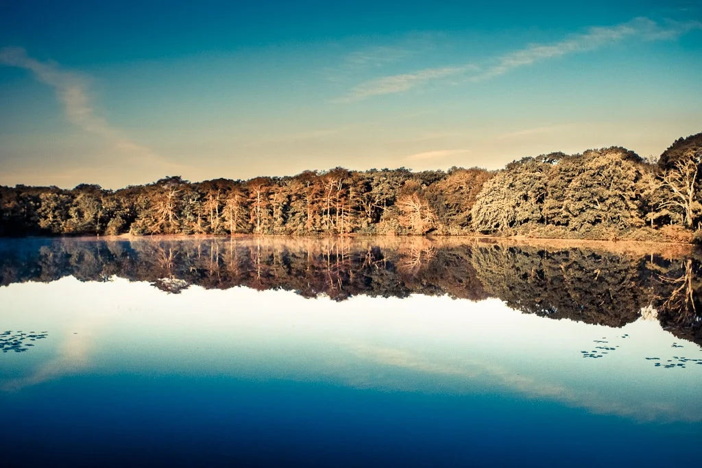 Hampton Pond photographic print by Maison Burgos