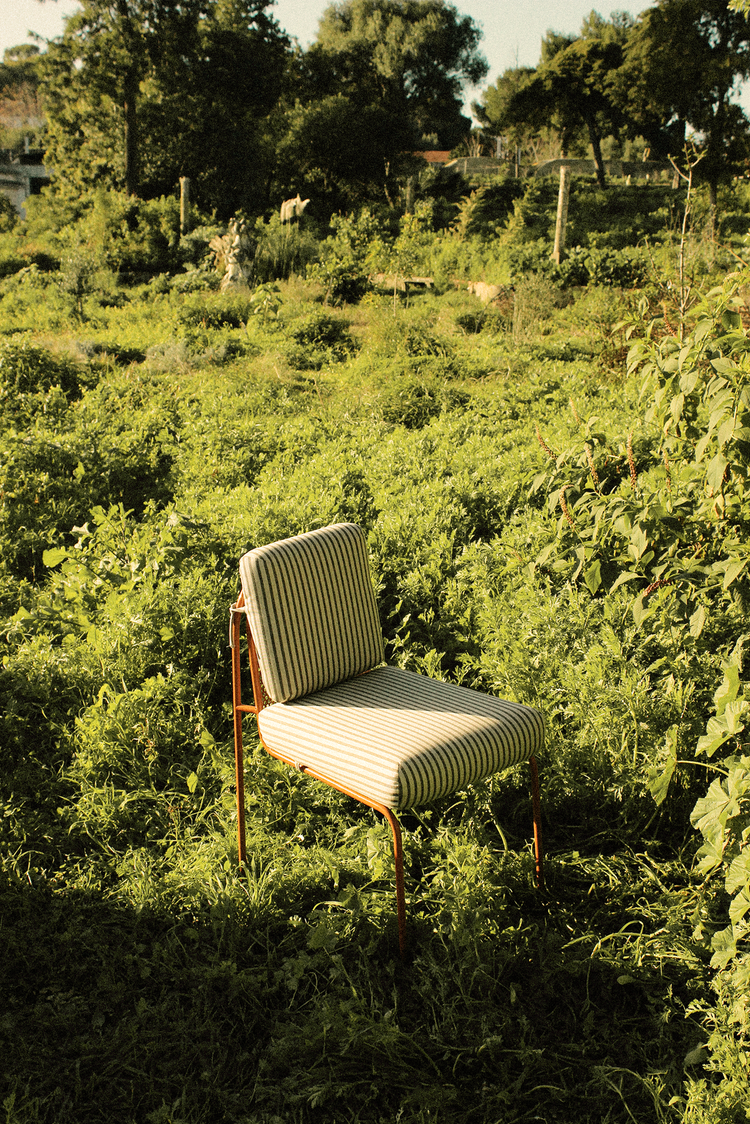 Riviera Chair in stripe upholstery in a sunlit wild meadow