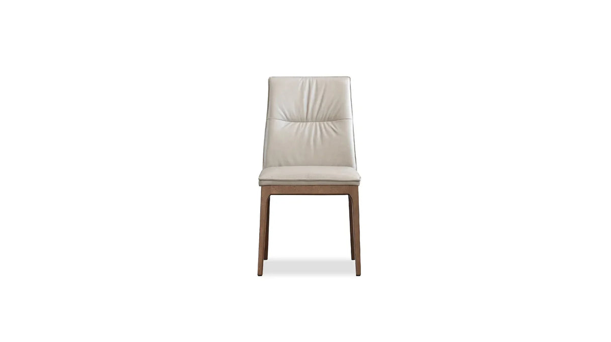 Holt Dining Chair front view in taupe leather