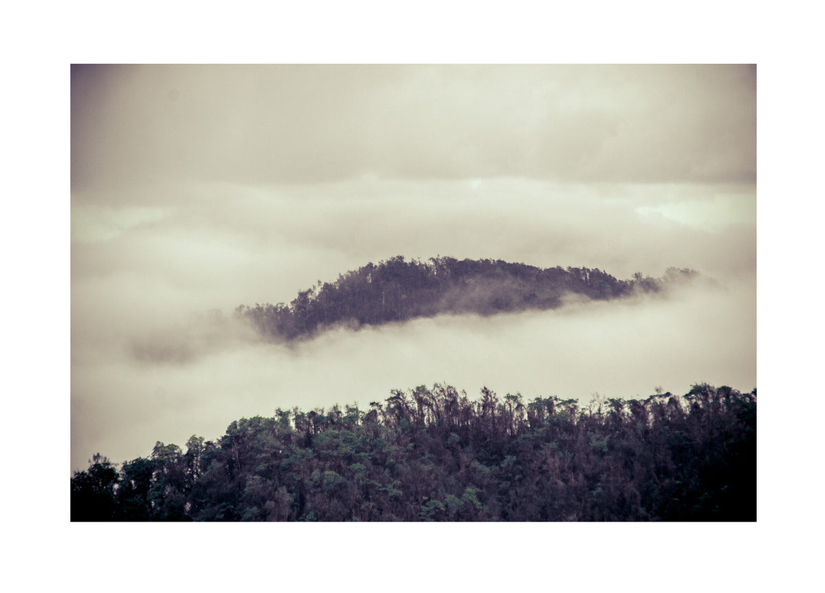 Brume photographic print in Acrylic frame