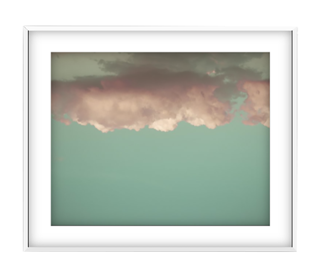 Earl Grey photographic print in White frame