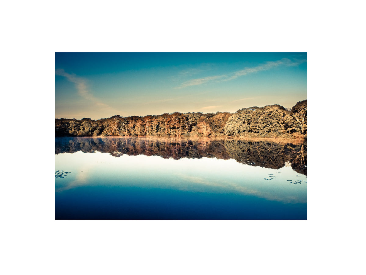 Hampton Pond photographic print in Acrylic frame