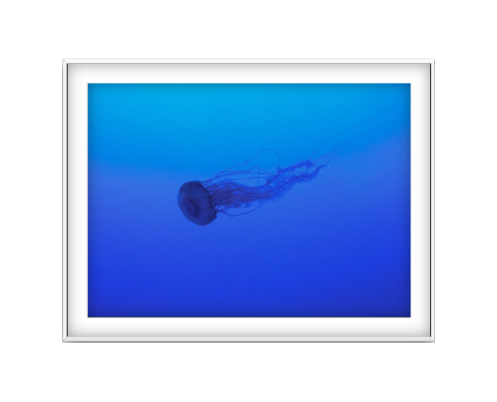 La Meduse photographic print in White frame