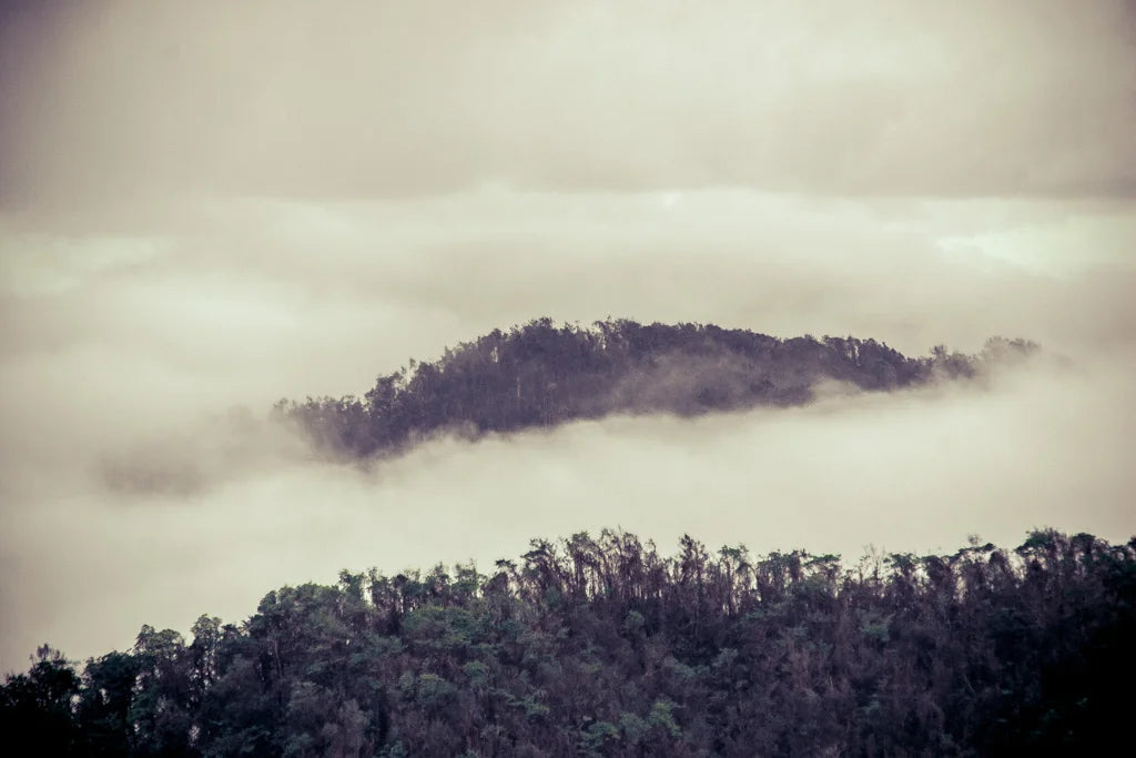Brume photographic print by Maison Burgos