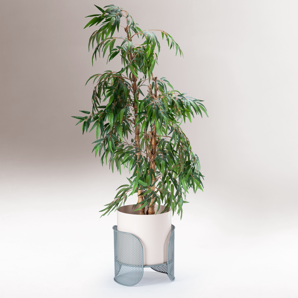 Riviera Vases Large in ivory on Mint feet with a tall ficus